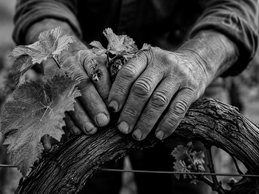 What We Inherit Beyond Possessions