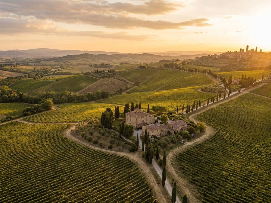What a Vineyard Can Teach Us About Patience